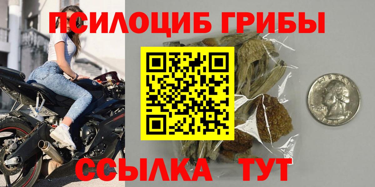 Псилоцибиновые грибы GOLDEN TEACHER  купить наркотик  Мелеуз  Вход с VPN 