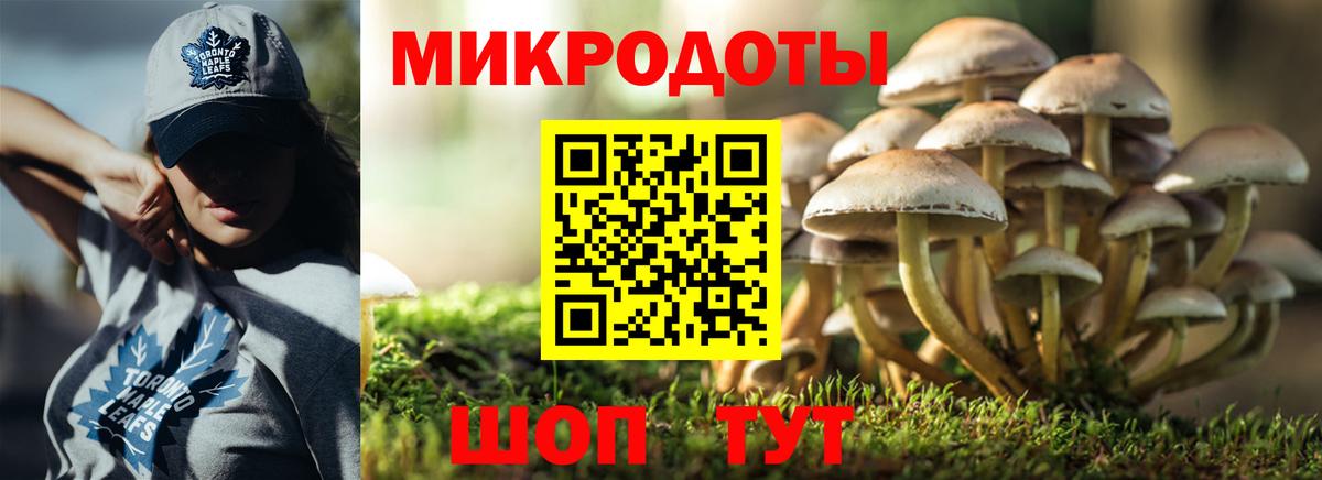 Галлюциногенные грибы Cubensis Мелеуз